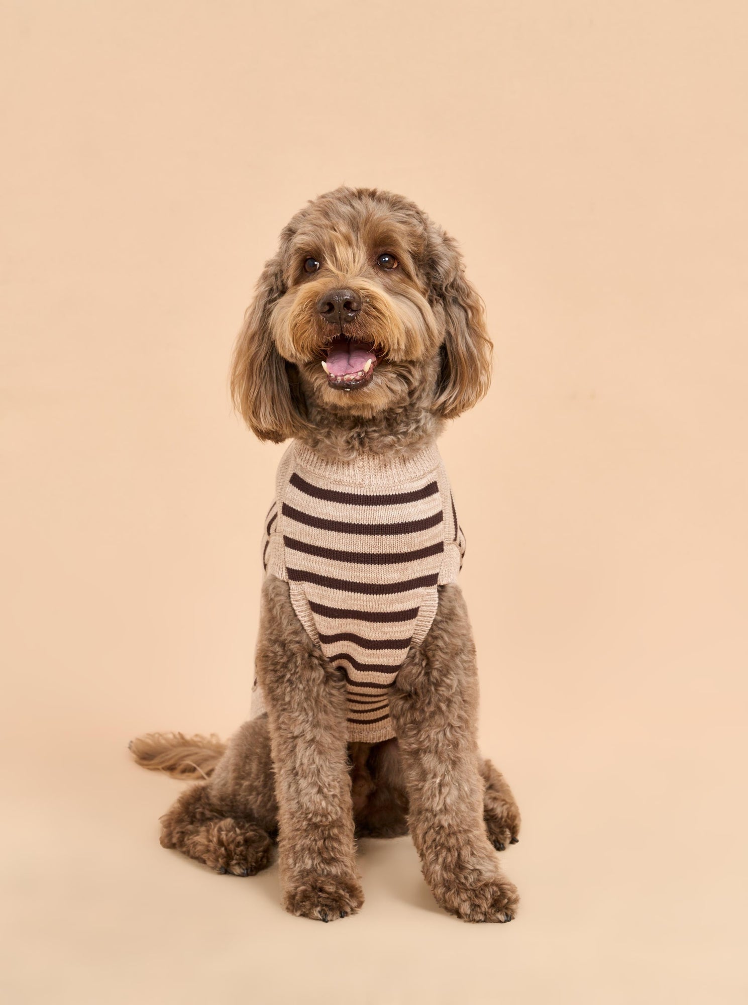 Pet | Chien Sweater | Tan x Brown