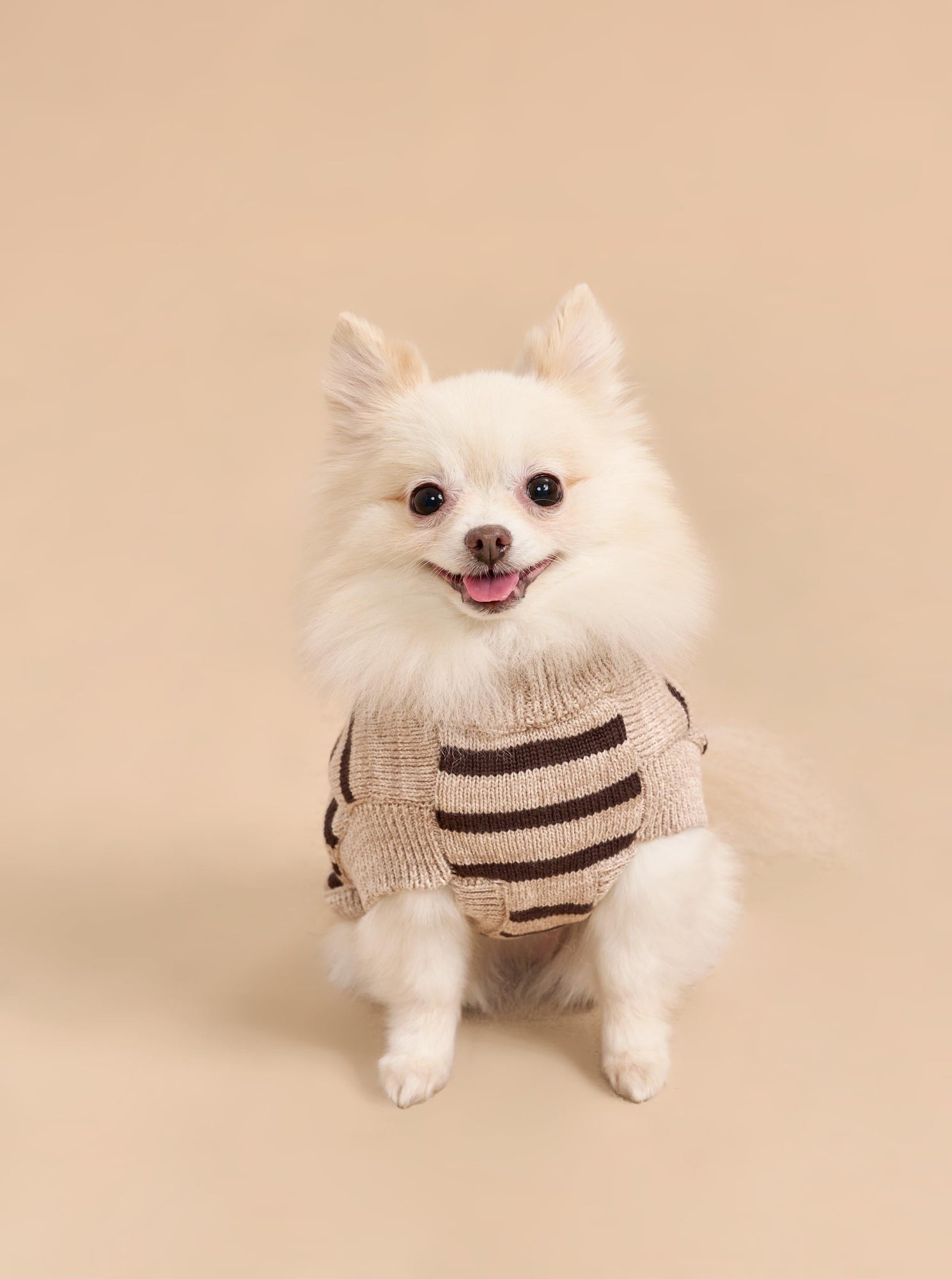 Pet | Chien Sweater | Tan x Brown