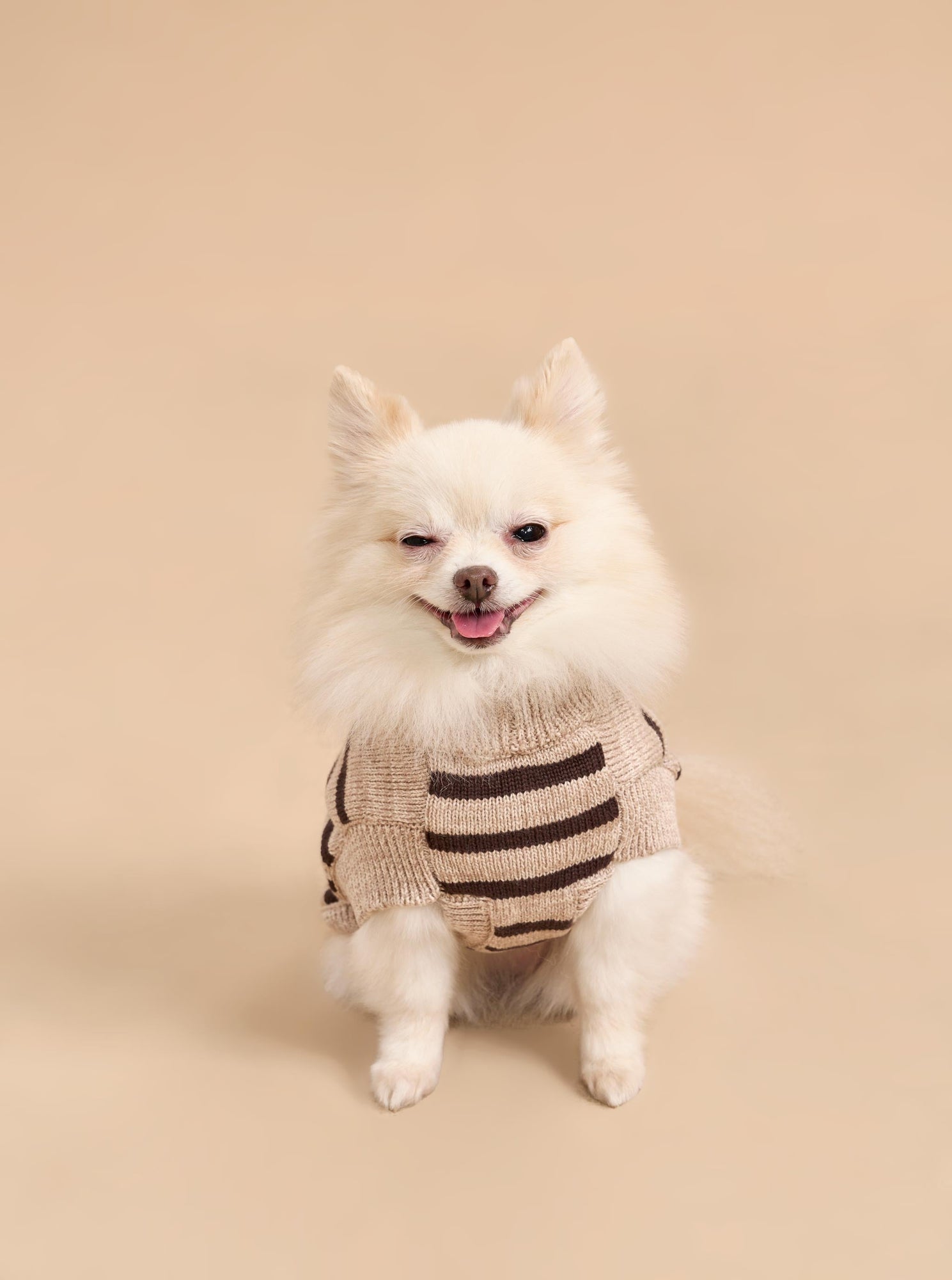 Pet | Chien Sweater | Tan x Brown