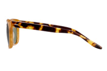 Unisex | Chisa Matte Golden Honey/Matte Torasel | Safari Polarized (AR)