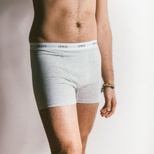 Heather Grey-Classic-Cotton-Boxer-Brief-Male