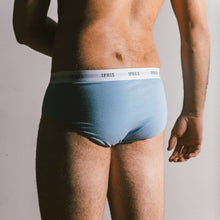 Periwinkle-Classic-Cotton-Brief-Male-1