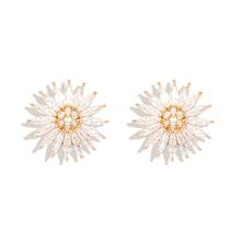 Clear Crystal Stud Earrings on Flat White Background