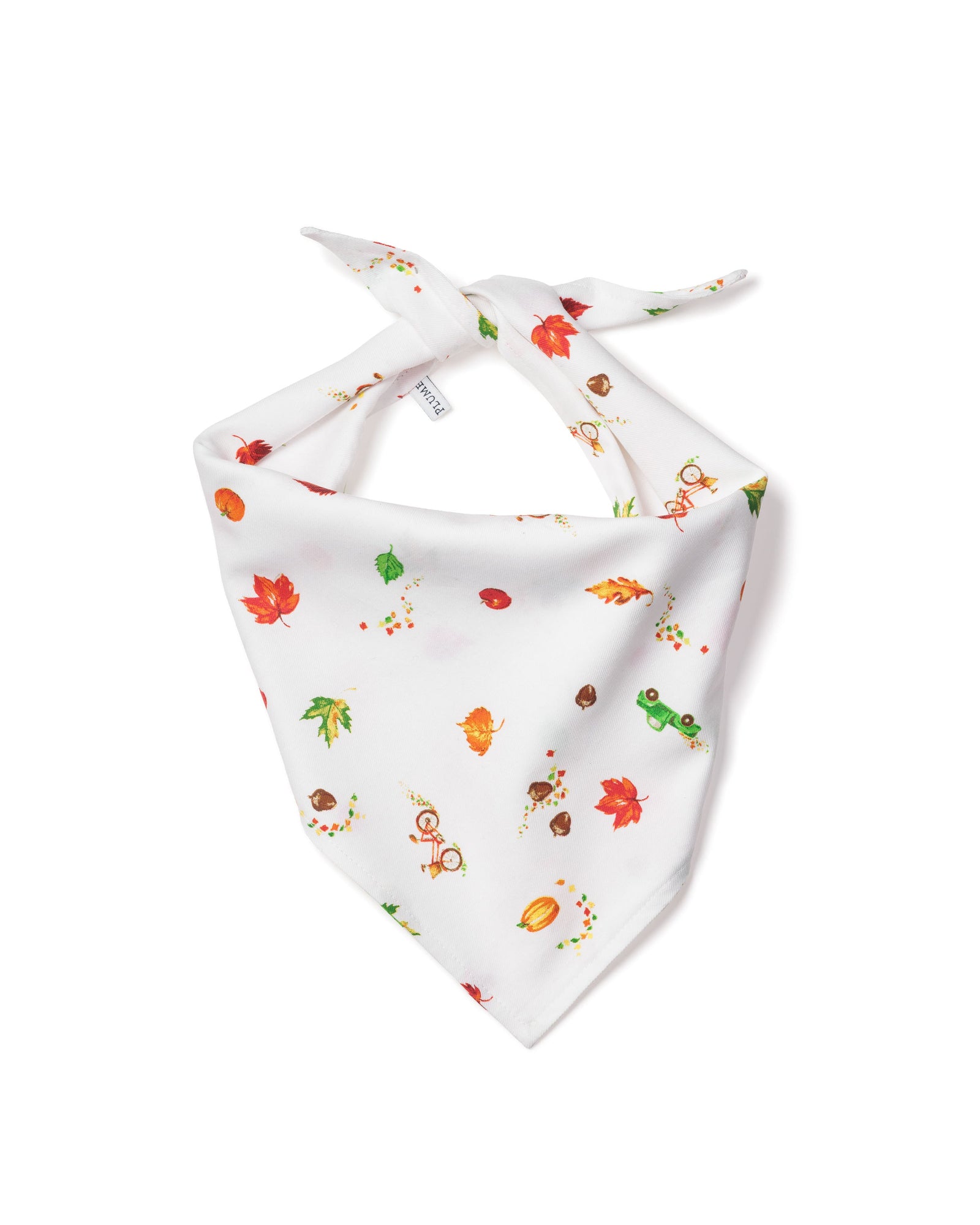 Arctic Express Dog Bandana | Petite Plume