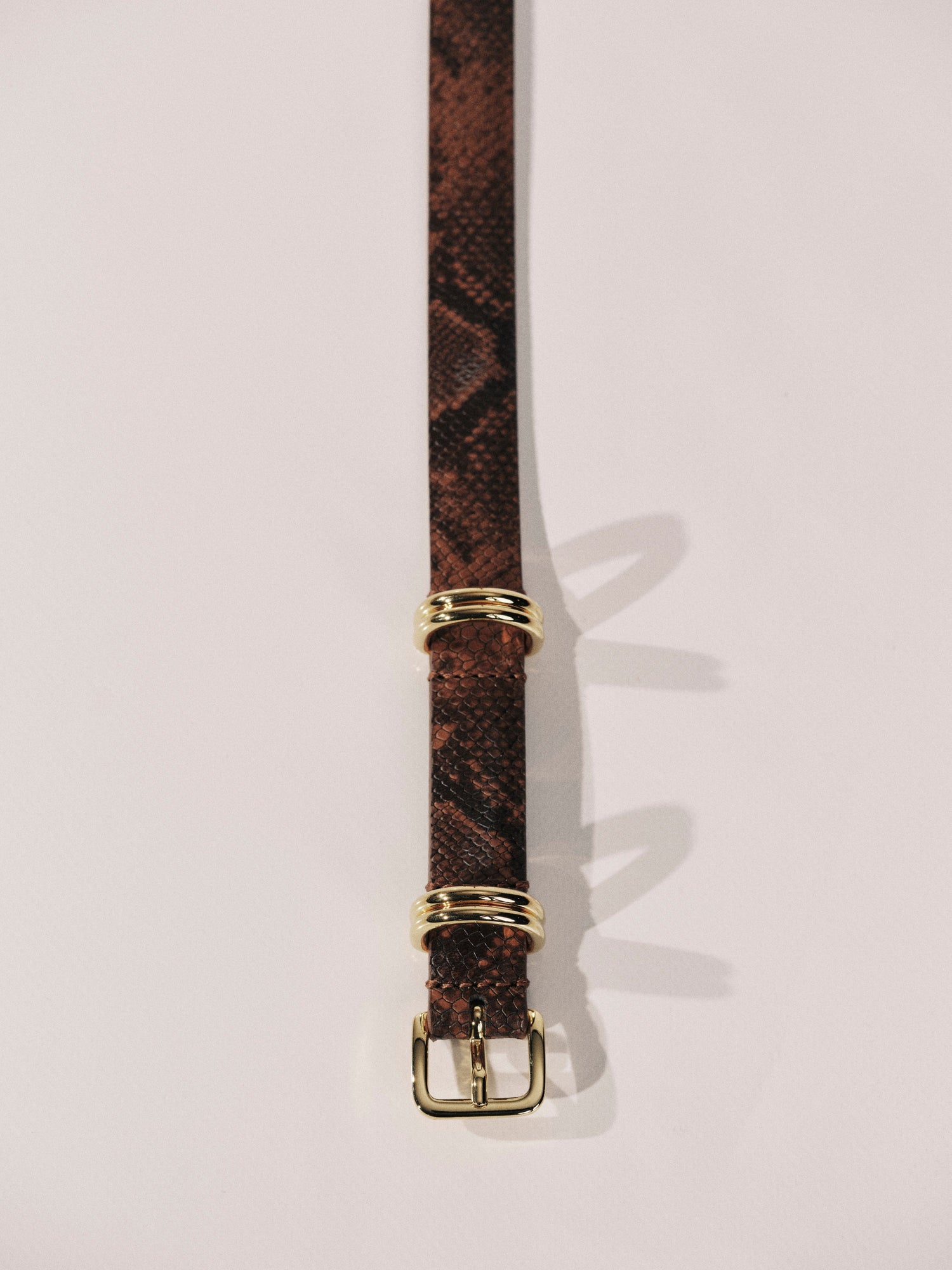 Constance Belt | Brown Python & Gold