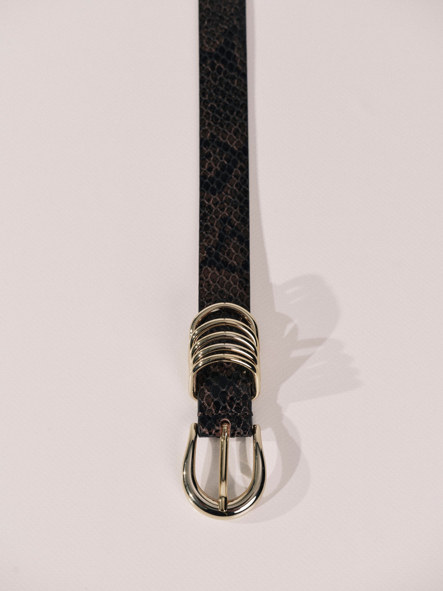 Hollyhock Seneca Snake Pale Gold | Seneca Snake & Pale Gold