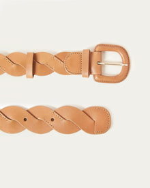 Color:Safari