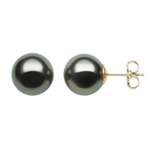 AA+ Round Stud Earrings | 14K Yellow Gold | Black Tahitian Pearl | 11mm - 12mm | Pushback Clasp