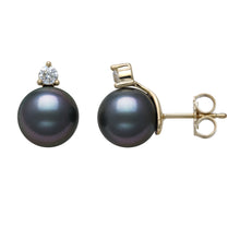 Womens | 11-12mm Round Black Tahitian Pearl | Stud Earrings - II | 14K Yellow Gold