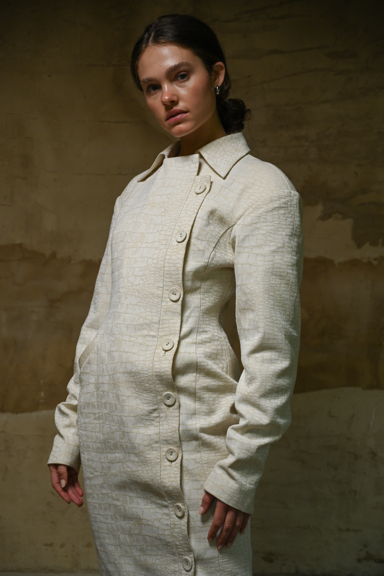 Blythe Trench Dress | Snakeskin