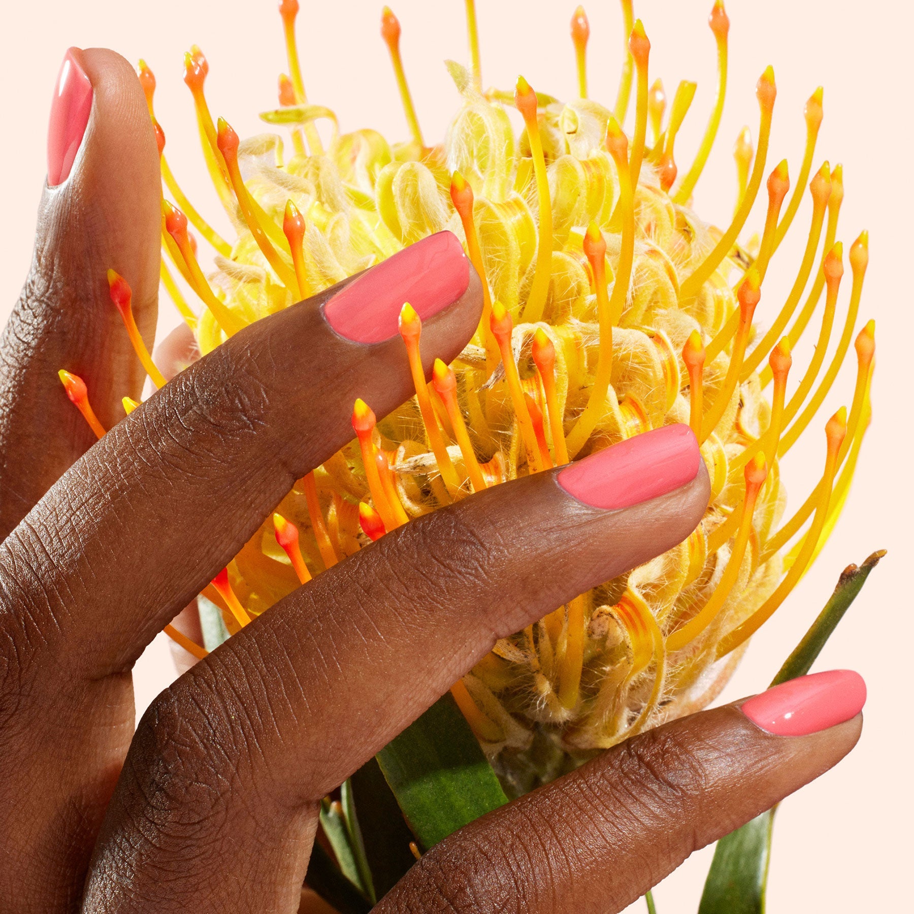 A close-up of a medium-brown hand with glossy Capucine by Manucurist nail polish gently touching a yellow and orange pincushion flower. The coral-pink shade adds a fresh pop of color against the light background.