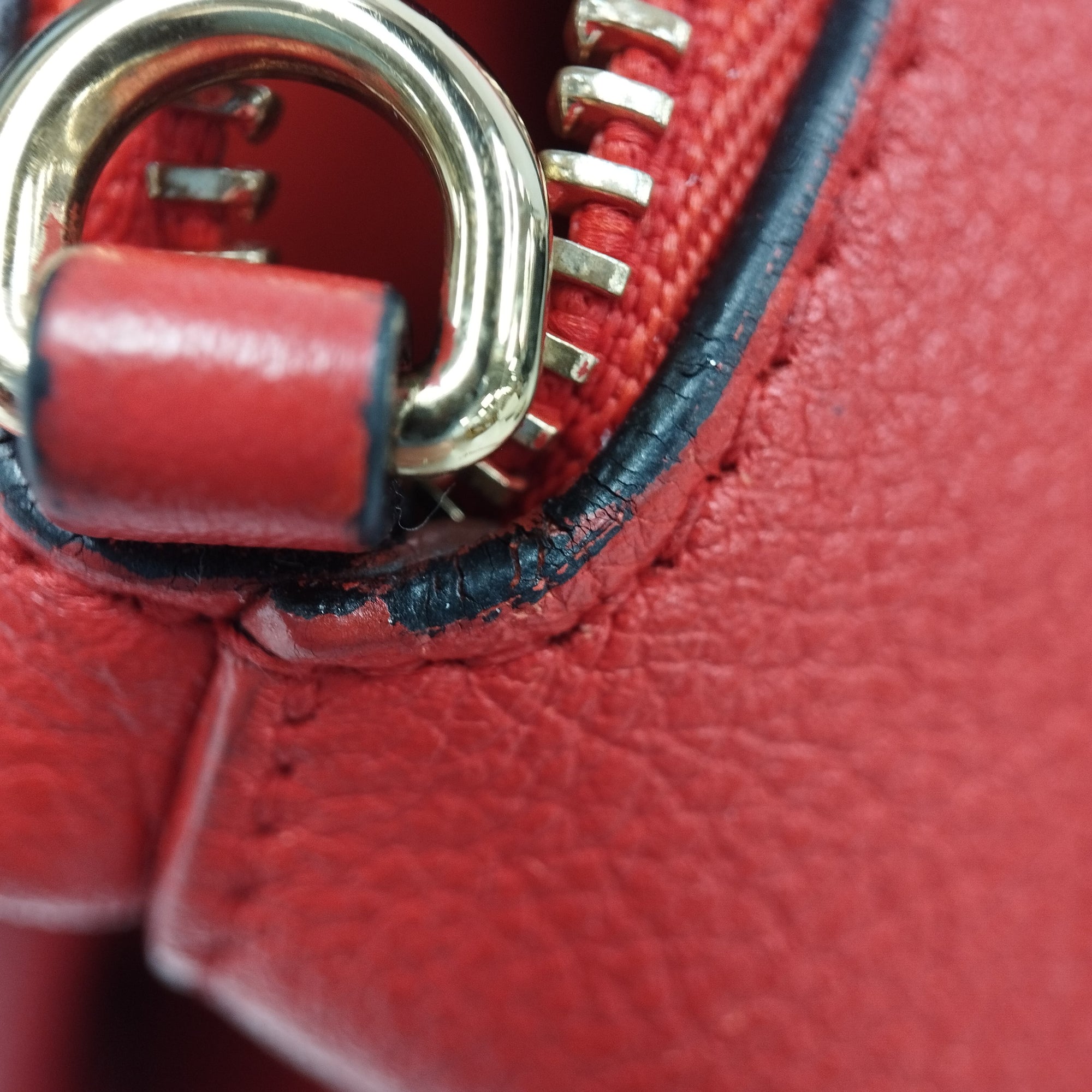 LOEWE | Pre-Owned Mini Leather Elephant Crossbody | Red