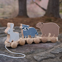 Unisex | Wooden Forest Animal Pull Toy | Multi
