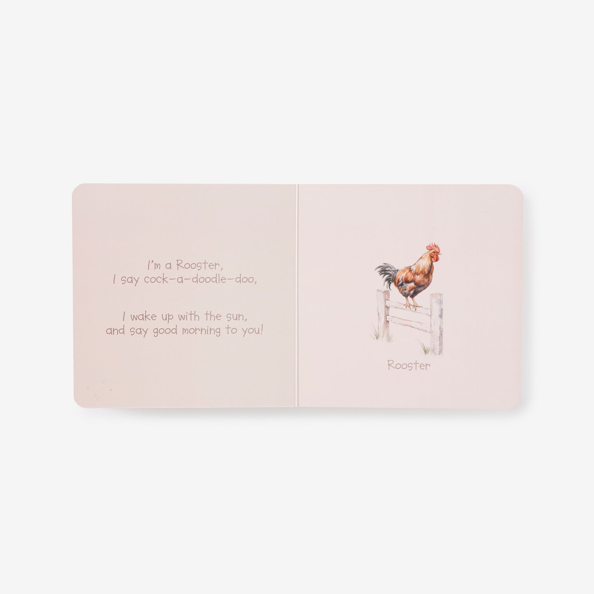 Unisex | Little Friends On the Farm Board Book