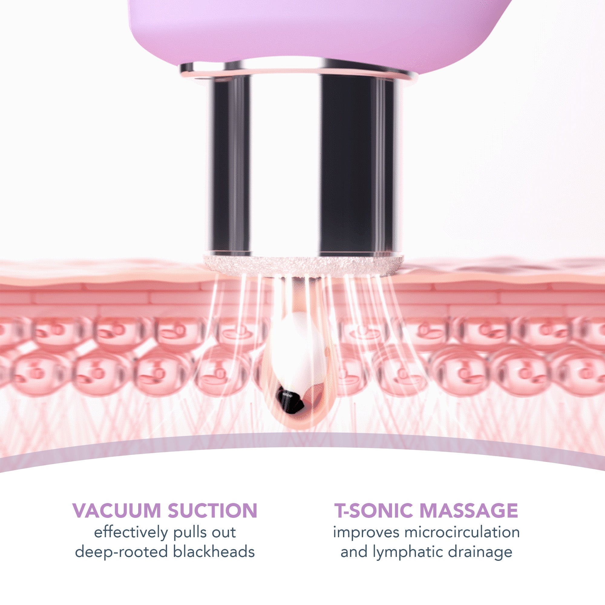KIWI derma | Lavender