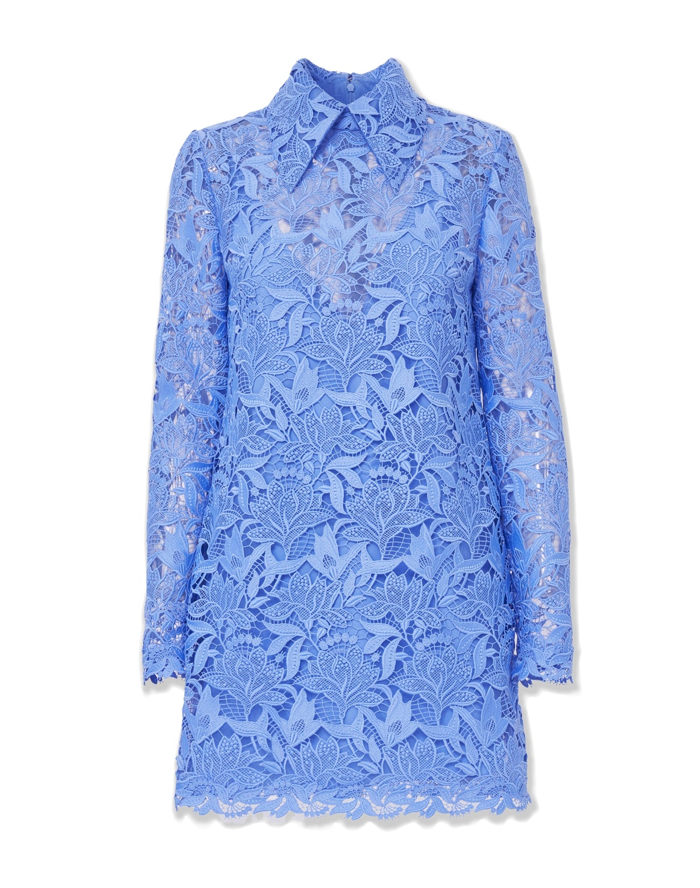 Long Sleeve Shift Dress with Collar | Cornflower Long Sleeve Shift Dress with Collar | Cornflower