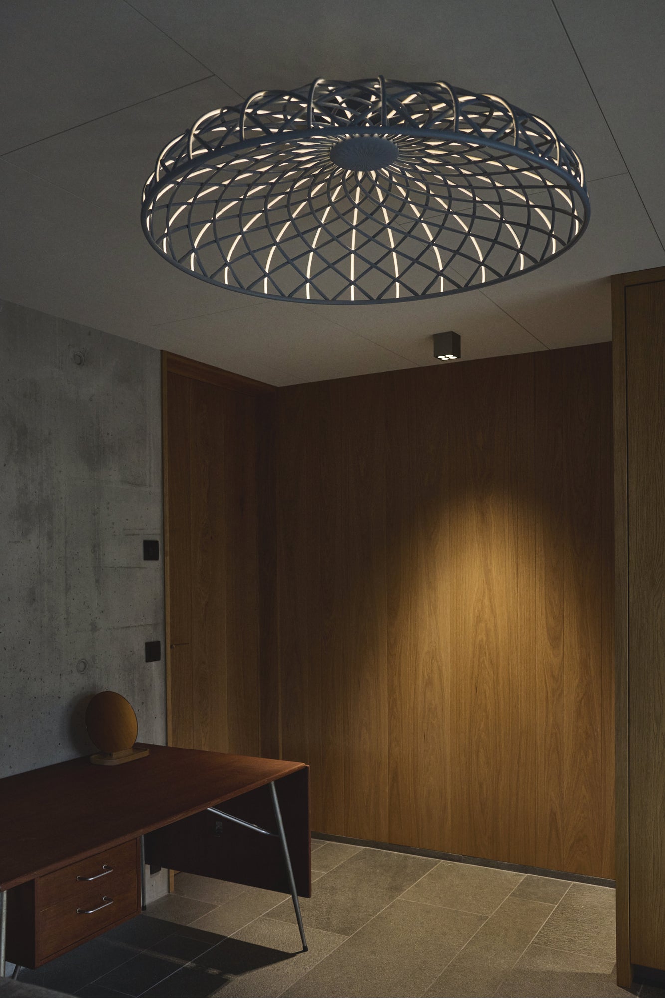Skynest Ceiling | Anthracite
