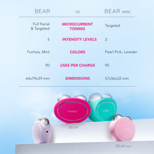 BEAR | Fuchsia