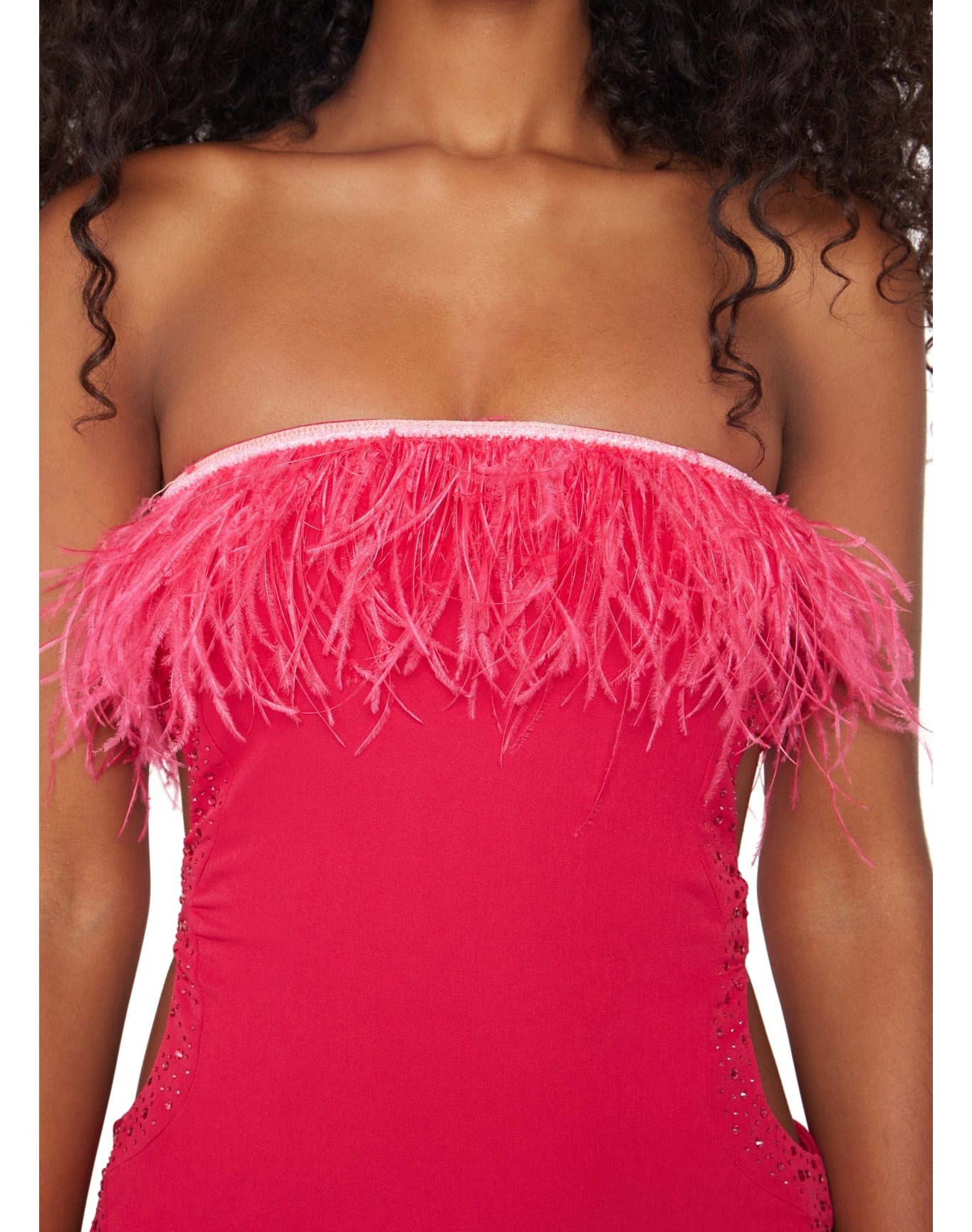 Feather Trim Embellished Cut-Out Dress | Rouge