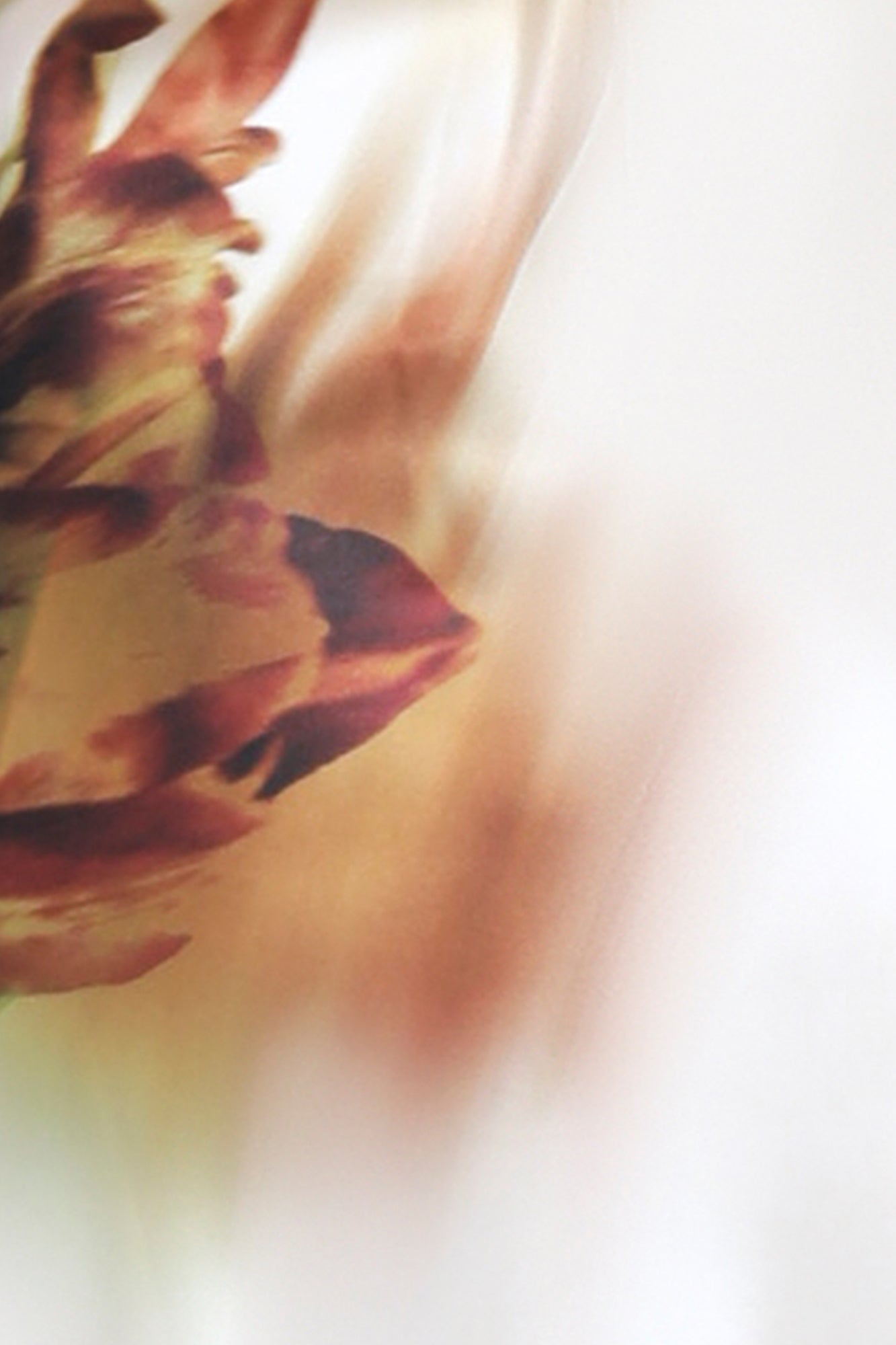 Valentina Chemise | Neutral Floral