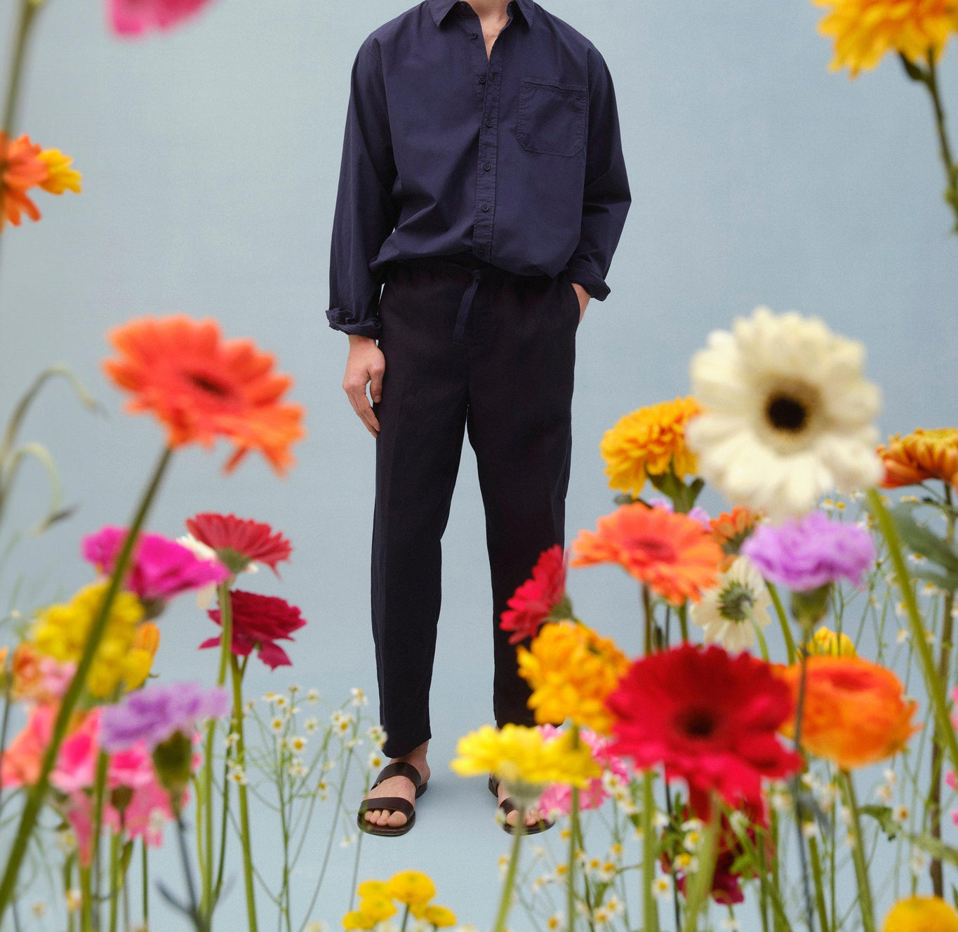 Grasmoor Relaxed Fit Classic Collar Organic Cotton Shirt | Night Iris