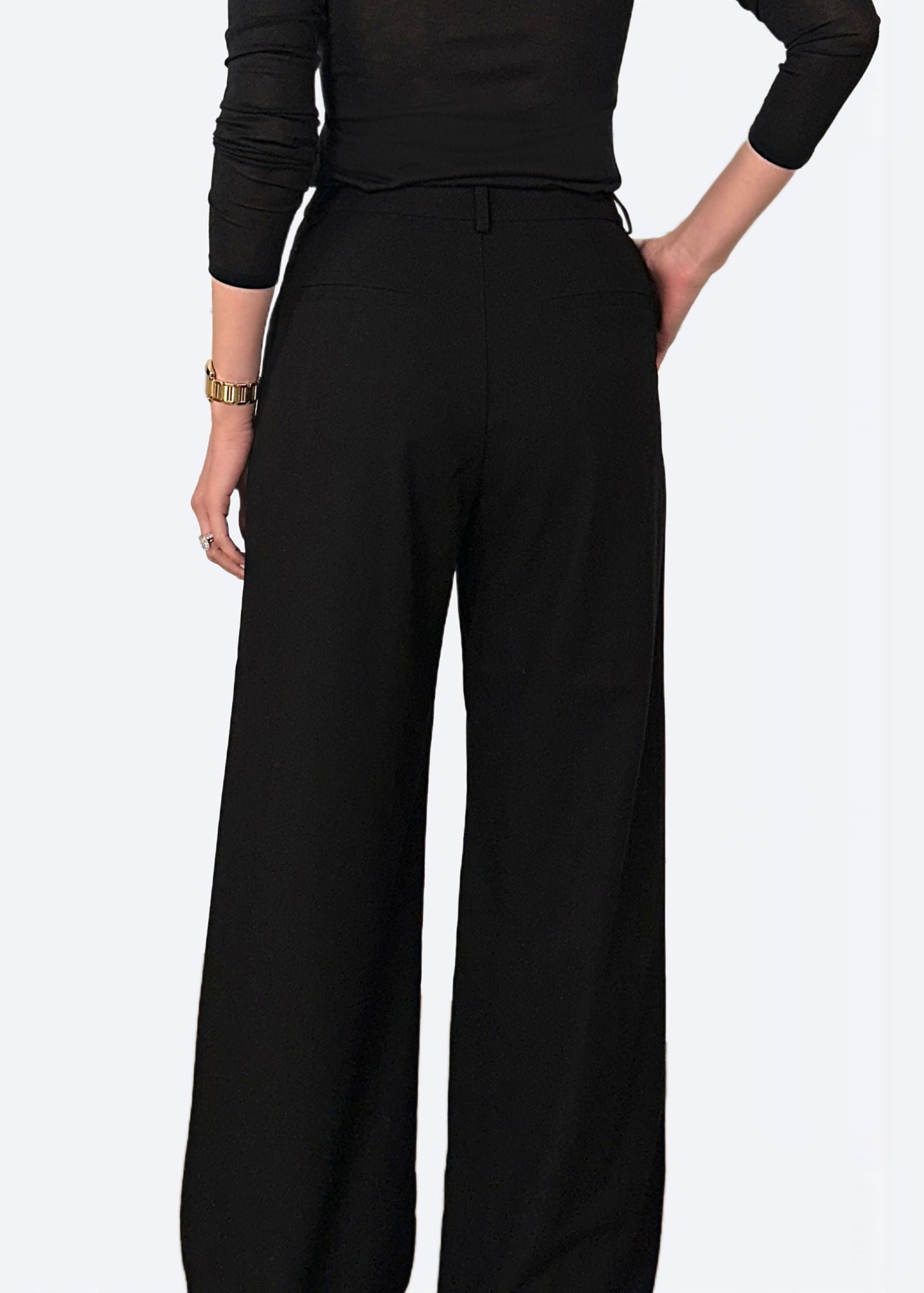 Rosheen Wide Leg Pant | Black