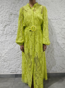 Hemant & Nandita | Nysa Long Dress | Lime