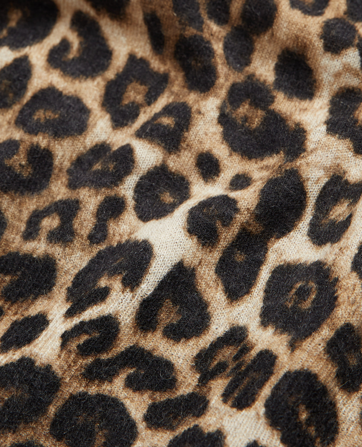 Print Cashmere Sweater | Men | Leopard