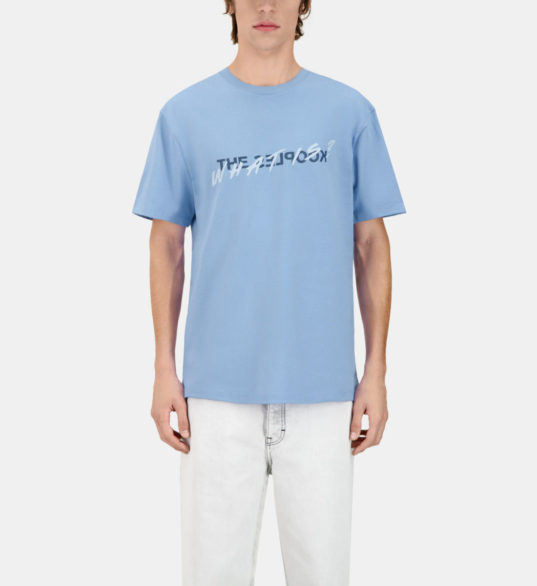 Sky What Is T-Shirt | Men | Steel Blue