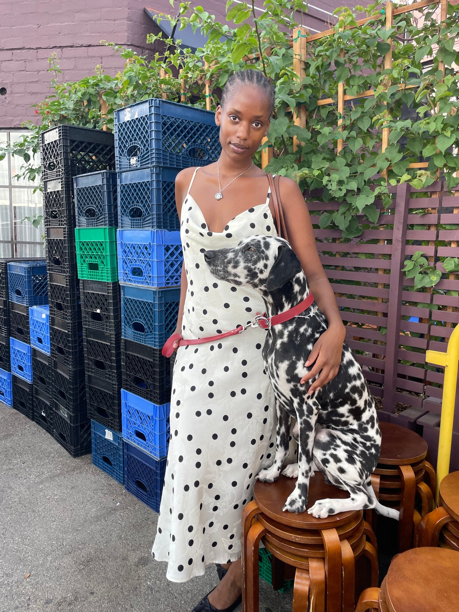 Griffin Dress | White Dot