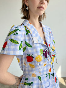 Alexa Shirtdress | Picnic Alfresco