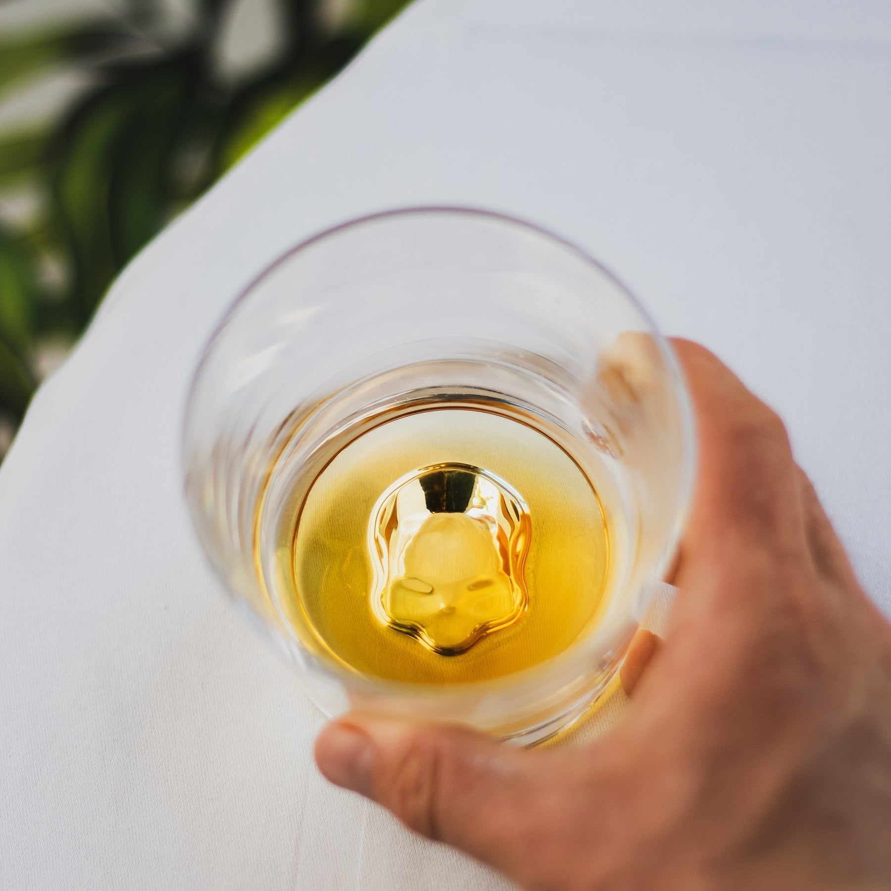 Memento Mori Whiskey Glasses | Clear Crystal | Set of 2