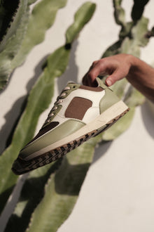 Unisex | Joshua Cactus | Sage White Brown
