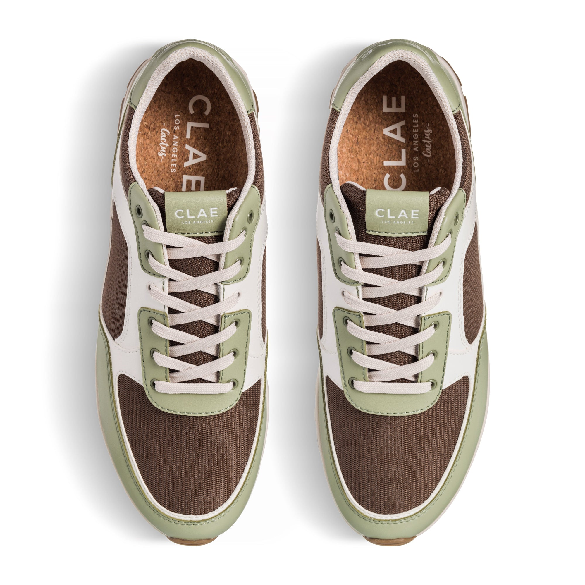 Unisex | Joshua Cactus | Sage White Brown