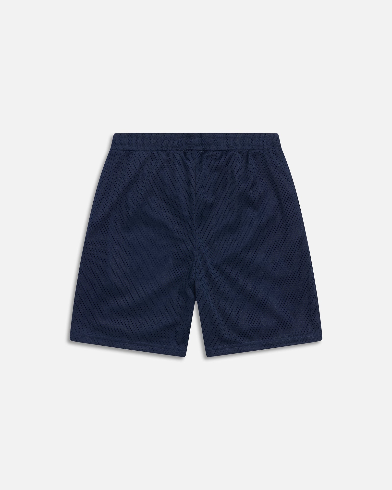 Mesh Short | Blue