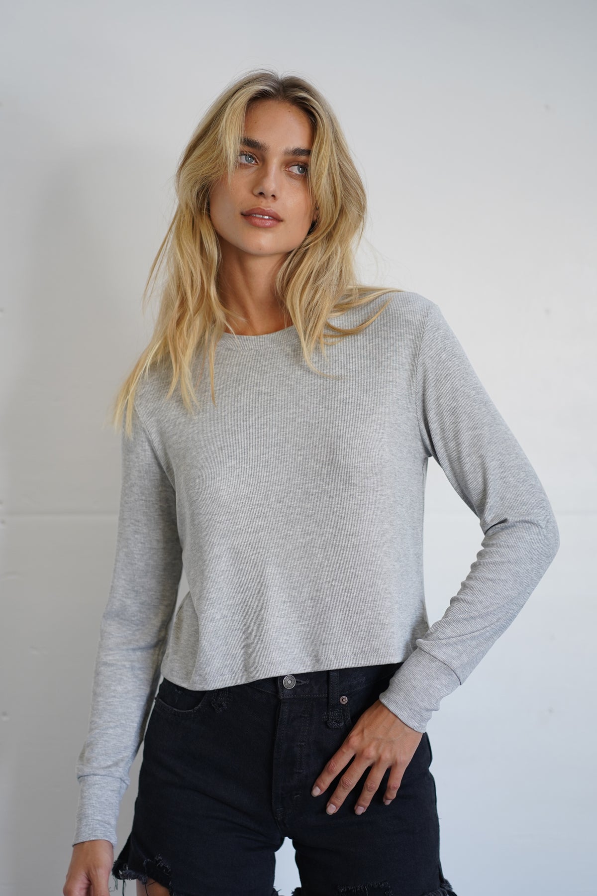 LNA Ribbed long Sleeve Crew in Heather Grey