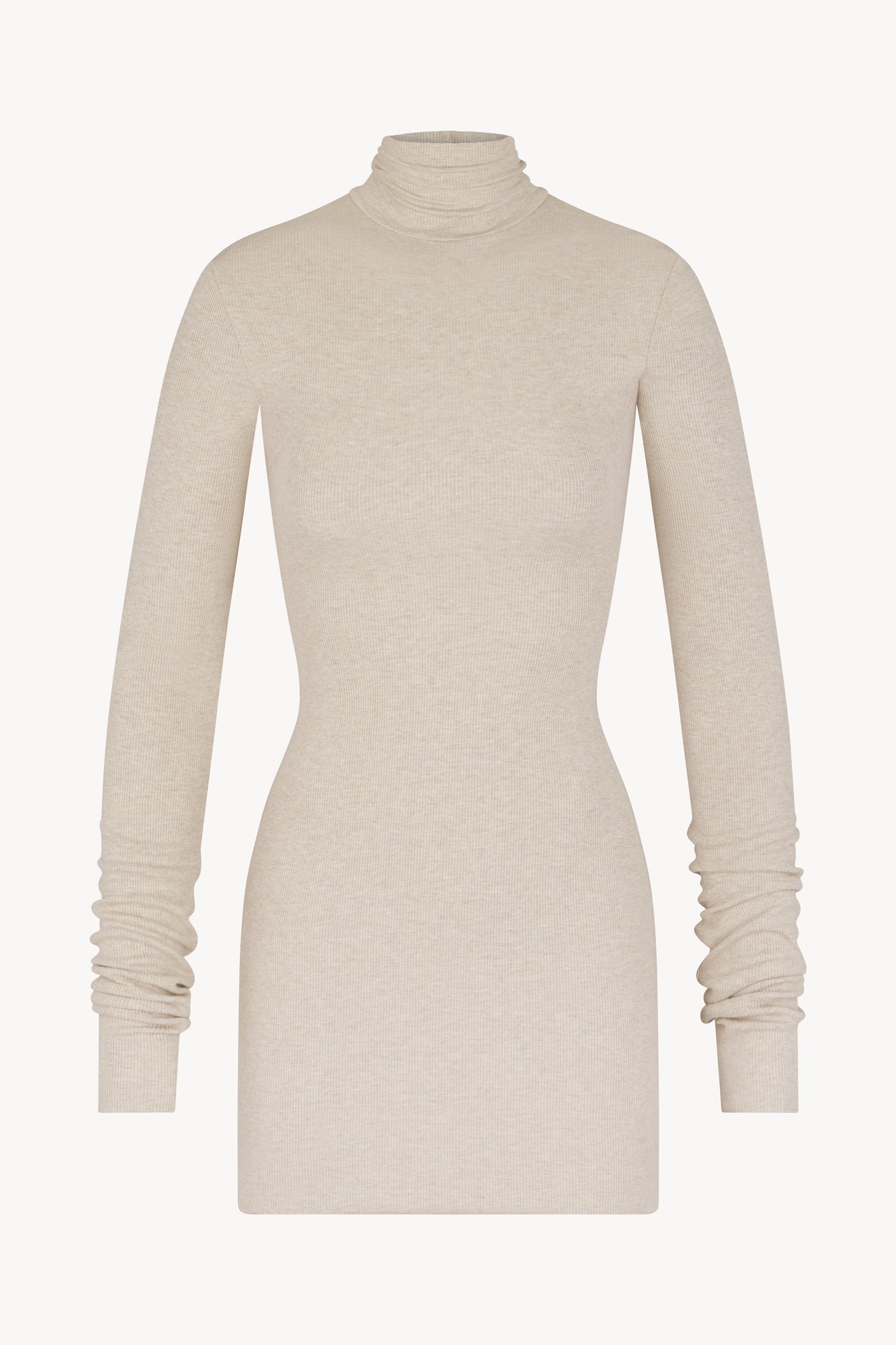 LONG SLEEVE TURTLENECK MINI DRESS - ETERNE