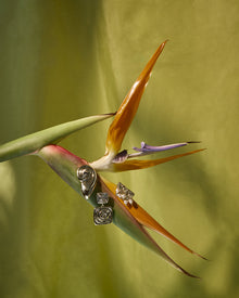 The Palma Shell Studs | Dalmatian Jasper | Silver