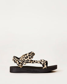 Color: Leopard
