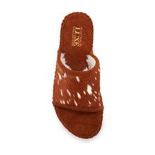 MOJAVI BAMBI - Australia Luxe Collective