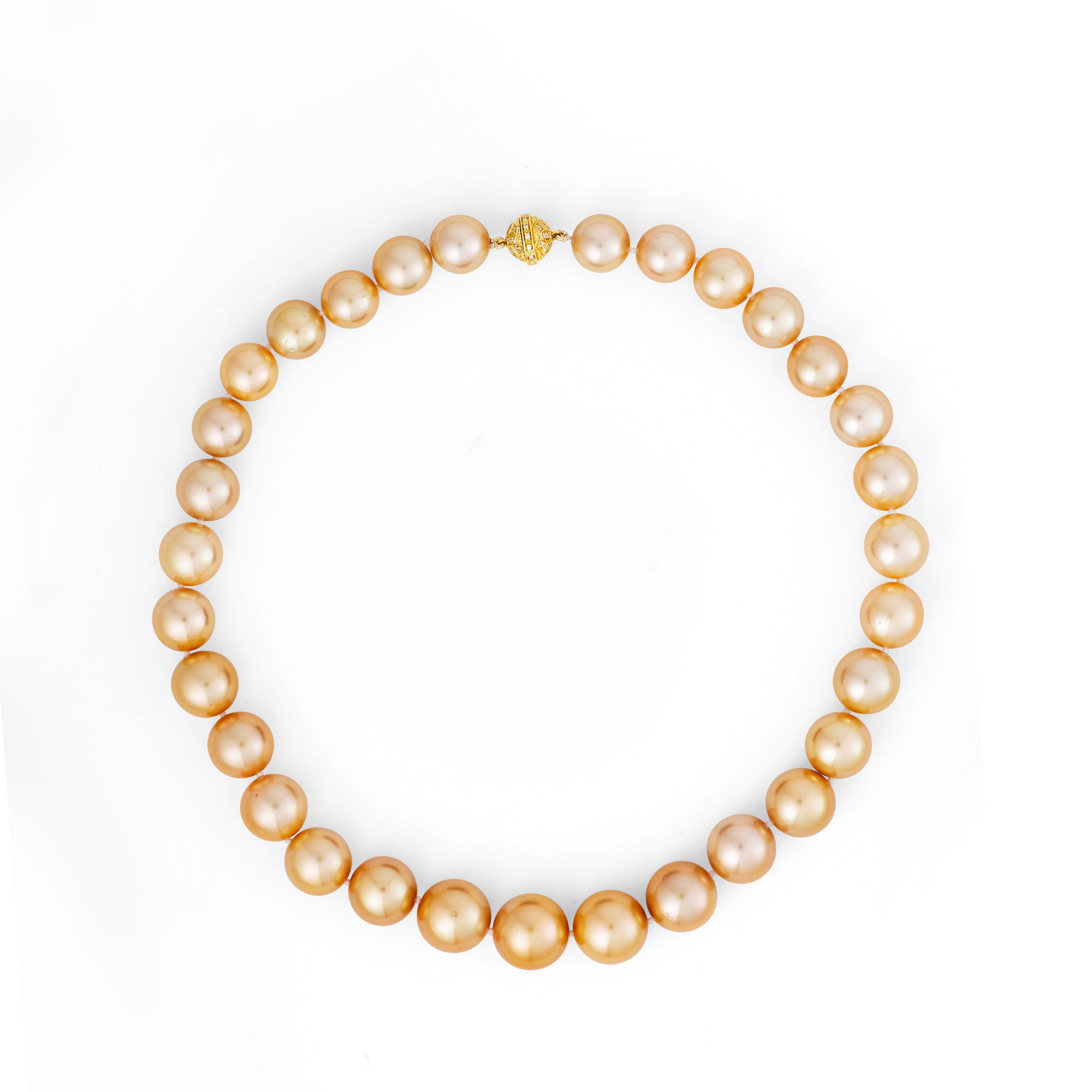 Round Strand Necklace | 14K Yellow Gold | Golden South Sea Pearl