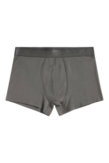 Men | Bridge Lyocell Boxer | Grey | Gargoyle