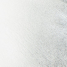 Novia Ballet Flat | Silver Metallic Leather