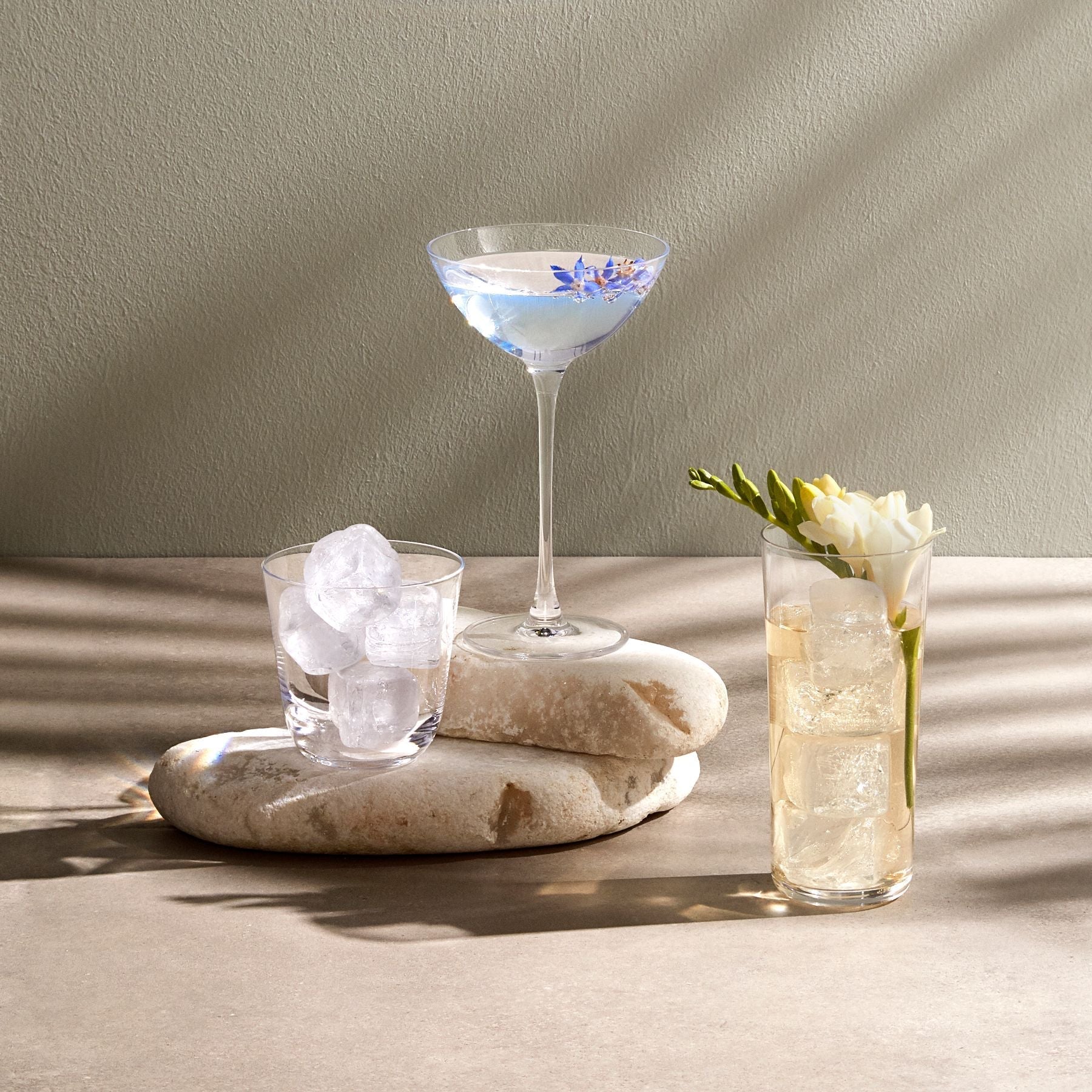 Savage Coupetini Glasses | Clear Crystal | Set of 2