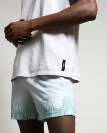 Nash Mesh Shorts Agave Gradient-MENS-Twenty