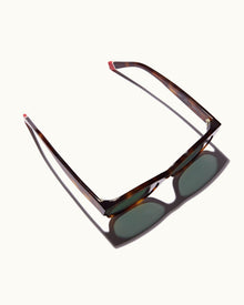 Nerano Brown Tortoise D Frame Sunglasses | Brown Tortoise