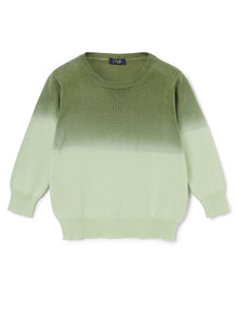 Cotton Sweater | Verdino/Siepe