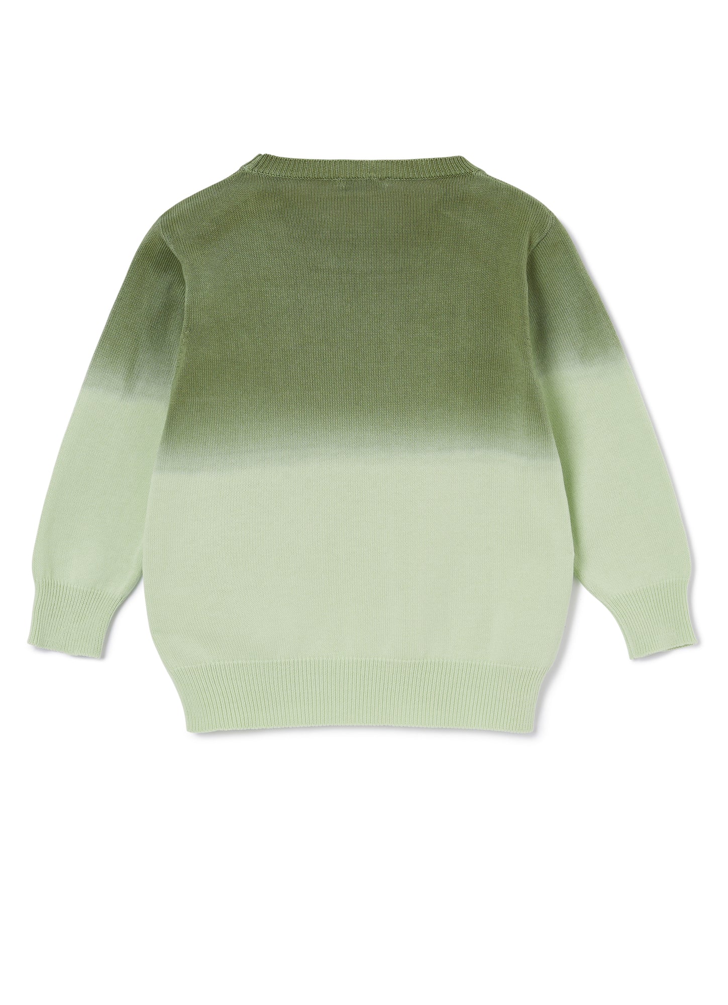 Cotton Sweater | Verdino/Siepe