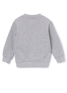 Crew Neck Sweatshirt | Nickel Grey