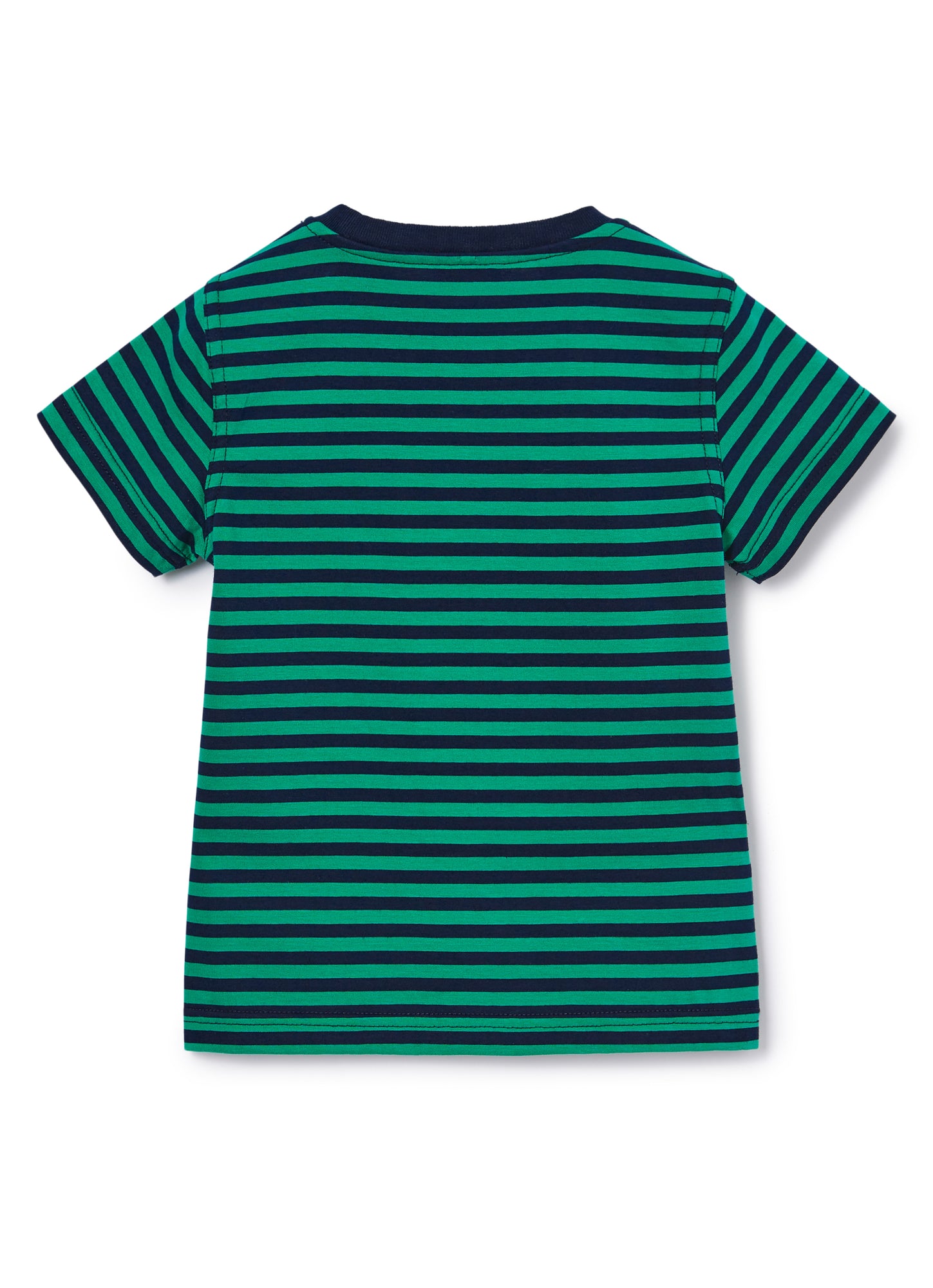Stripe T-Shirt with Print | Smeraldo/Bianco